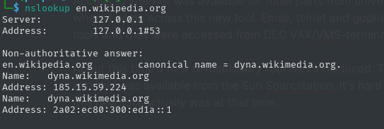 nslookup